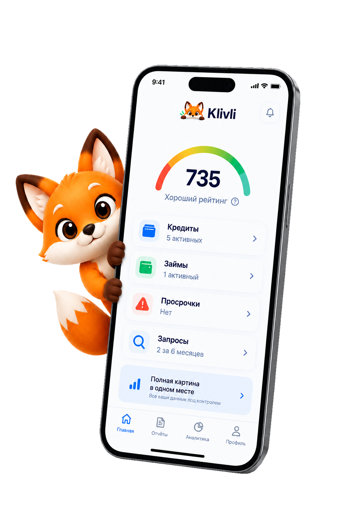 Пример кредитного профиля Klivli